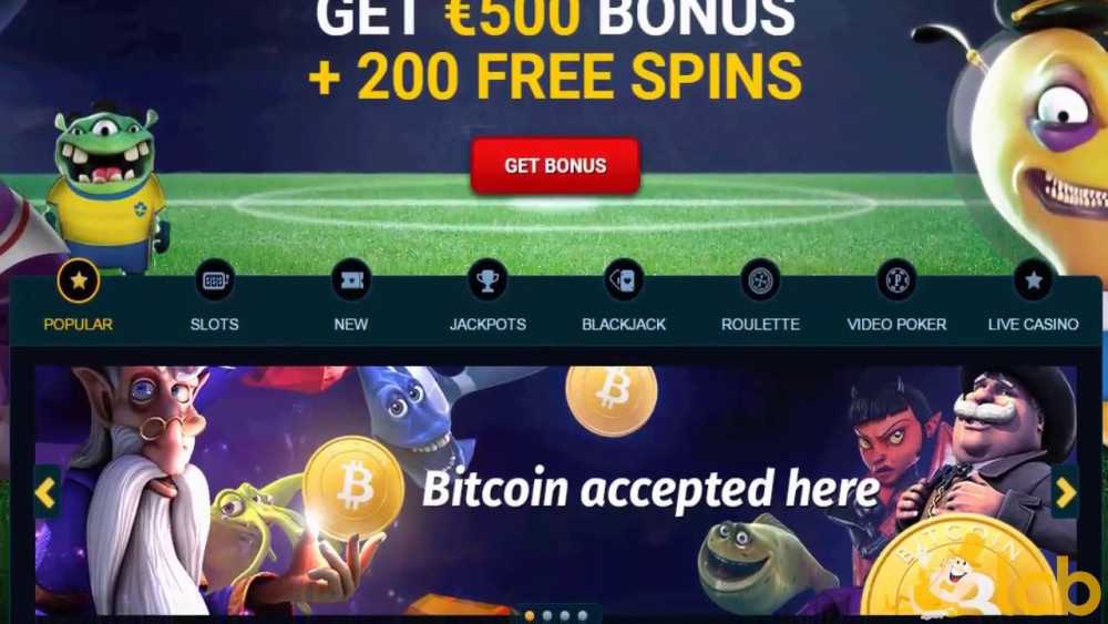 Playamo-Casino-Video-Review