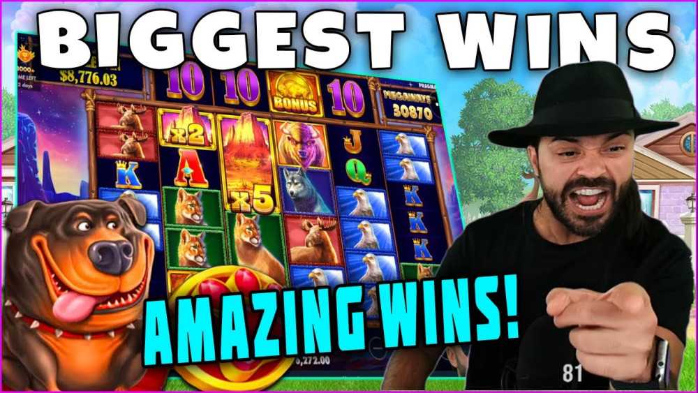 BIGGEST-WINS-FROM-1000X.-Amazing-Hit-on-Buffalo-slot.-Biggest-wins-of-the-week