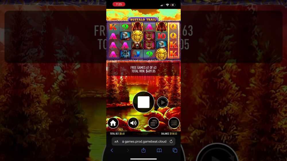 Bitstarz-casino-buffalo-trail-big-win