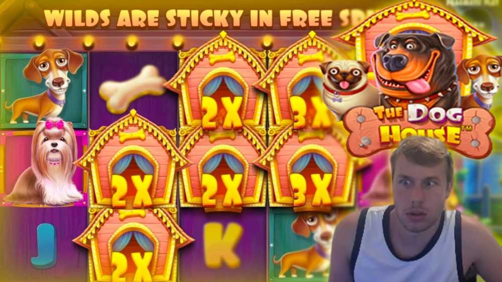 DOG-HOUSE-SLOT-BONUS-CATCHES-FIRE-Opening-20-Bonuses