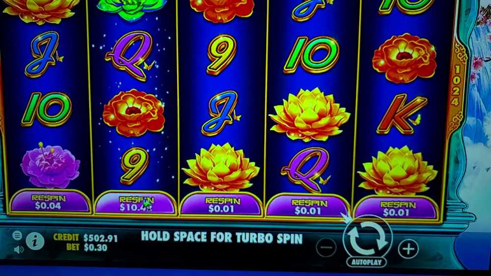 Malicious-intent-to-entrap-unsuspecting-gambler39s.-Playamo-okay-Casino-scam