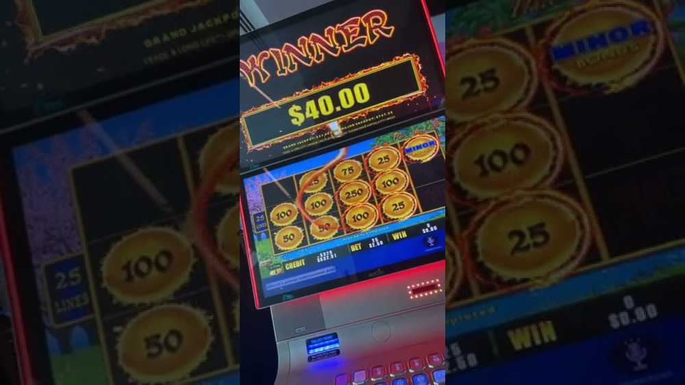 Nz-casino