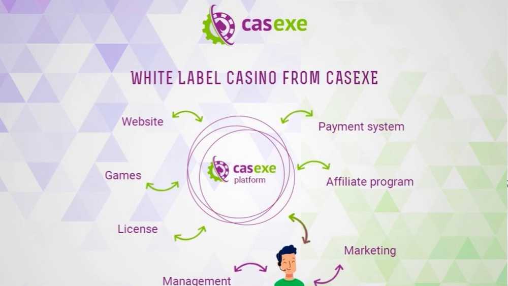 The-White-Label-format-in-online-gambling.-Pros-and-Cons-for-operators