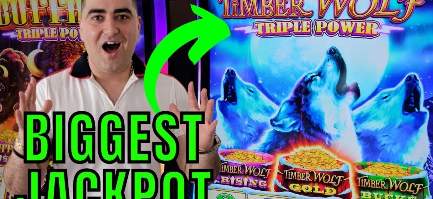 BIGGEST-JACKPOT-Ever-On-Timber-Wolf-Triple-Power-Slot