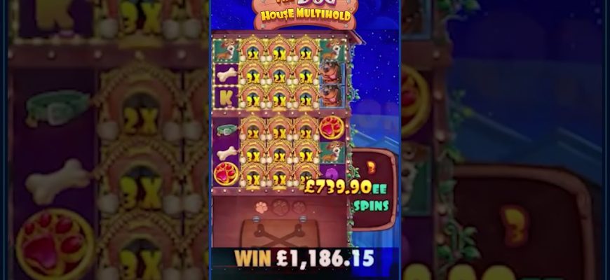 Big-Win-of-Today-3-thedoghousemultihold